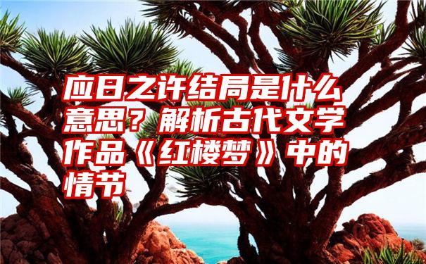 应日之许结局是什么意思？解析古代文学作品《红楼梦》中的情节