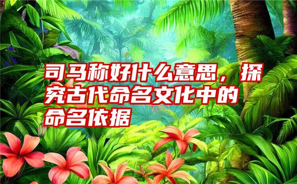 司马称好什么意思,探究古代命名文化中的命名依据