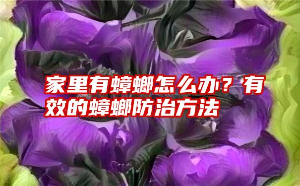 家里有蟑螂怎么办？有效的蟑螂防治方法