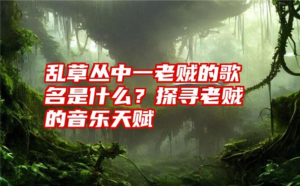 乱草丛中一老贼的歌名是什么？探寻老贼的音乐天赋