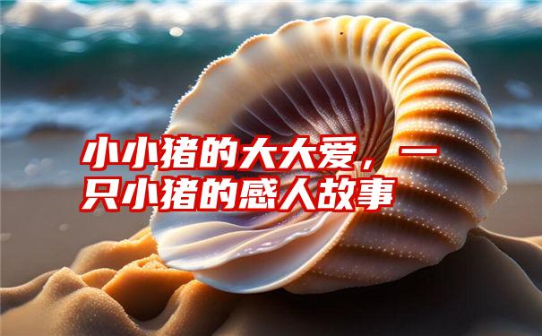 小小猪的大大爱,一只小猪的感人故事