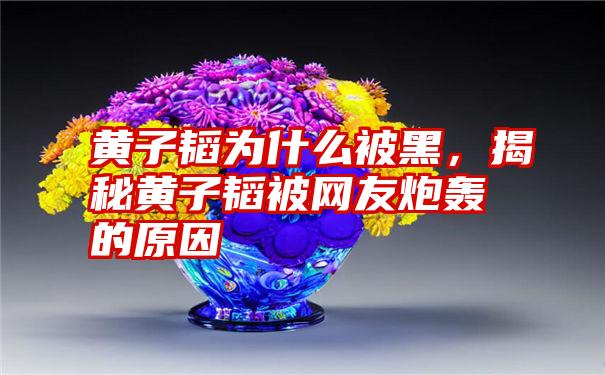 黄子韬为什么被黑,揭秘黄子韬被网友炮轰的原因