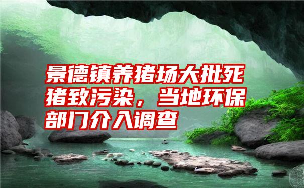 景德镇养猪场大批死猪致污染，当地环保部门介入调查