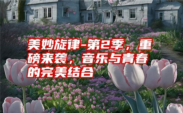 美妙旋律-第2季,重磅来袭,音乐与青春的完美结合