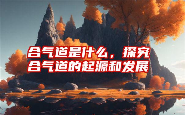 合气道是什么，探究合气道的起源和发展