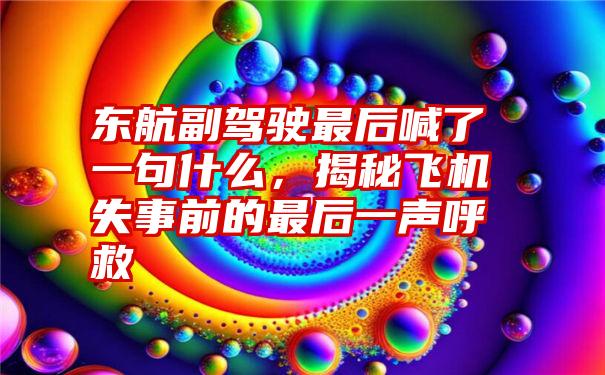 东航副驾驶最后喊了一句什么，揭秘飞机失事前的最后一声呼救