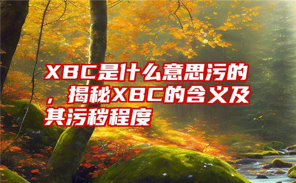 XBC是什么意思污的，揭秘XBC的含义及其污秽程度