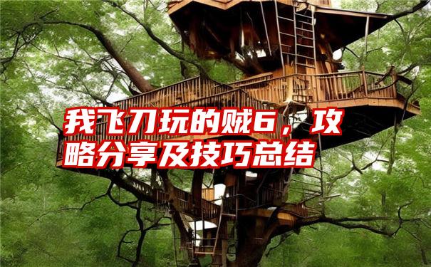 我飞刀玩的贼6,攻略分享及技巧总结