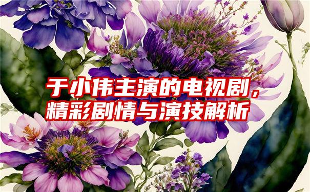 于小伟主演的电视剧，精彩剧情与演技解析