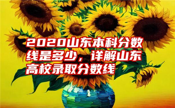 2020山东本科分数线是多少，详解山东高校录取分数线