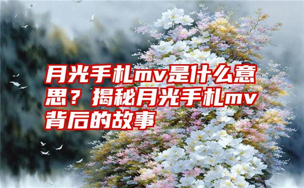 月光手札mv是什么意思？揭秘月光手札mv背后的故事