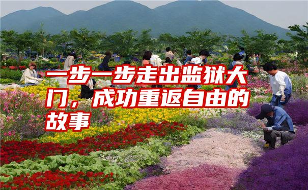 一步一步走出监狱大门,成功重返自由的故事