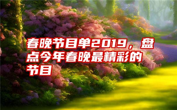 春晚节目单2019，盘点今年春晚最精彩的节目