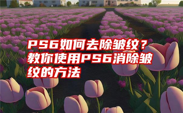 PS6如何去除皱纹？教你使用PS6消除皱纹的方法