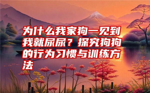 为什么我家狗一见到我就尿尿？探究狗狗的行为习惯与训练方法