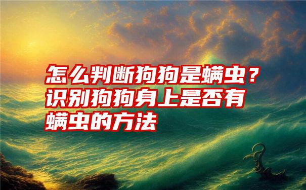 怎么判断狗狗是螨虫？识别狗狗身上是否有螨虫的方法