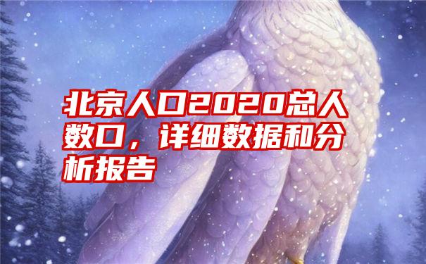 北京人口2020总人数口，详细数据和分析报告