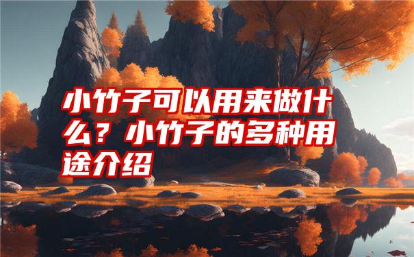 小竹子可以用来做什么？小竹子的多种用途介绍