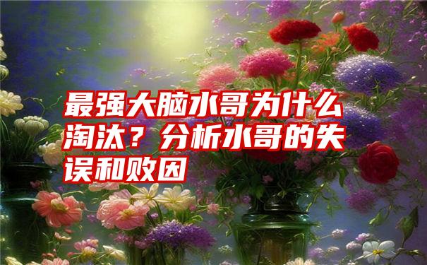 最强大脑水哥为什么淘汰？分析水哥的失误和败因