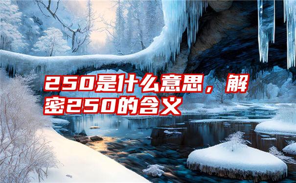 250是什么意思,解密250的含义