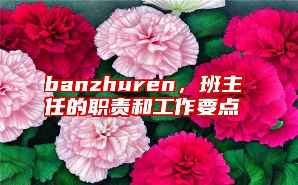 banzhuren，班主任的职责和工作要点