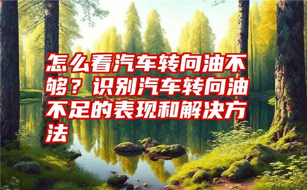 怎么看汽车转向油不够？识别汽车转向油不足的表现和解决方法