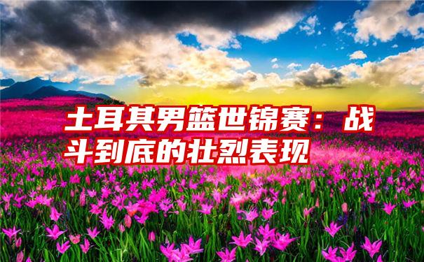 土耳其男篮世锦赛:战斗到底的壮烈表现