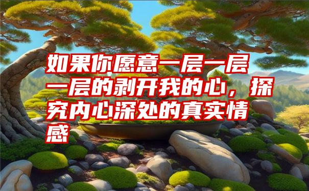 如果你愿意一层一层一层的剥开我的心,探究内心深处的真实情感
