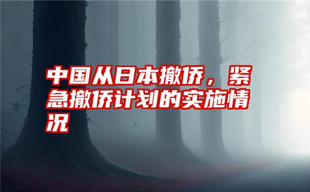 中国从日本撤侨，紧急撤侨计划的实施情况