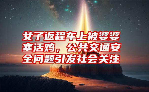 女子返程车上被婆婆塞活鸡,公共交通安全问题引发社会关注