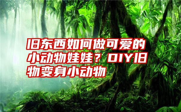 旧东西如何做可爱的小动物娃娃？DIY旧物变身小动物