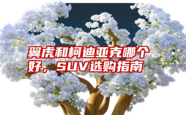 翼虎和柯迪亚克哪个好,SUV选购指南