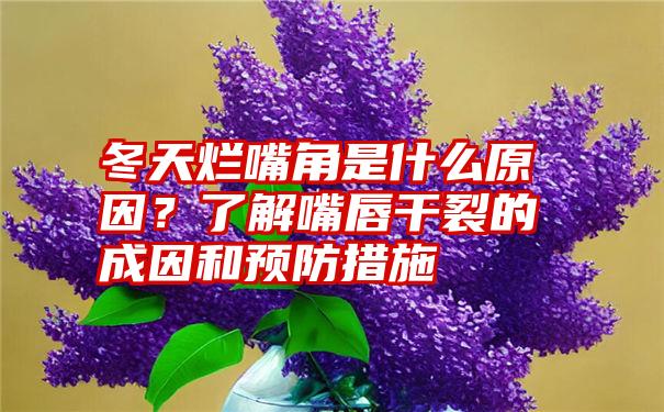 冬天烂嘴角是什么原因？了解嘴唇干裂的成因和预防措施