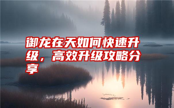 御龙在天如何快速升级，高效升级攻略分享