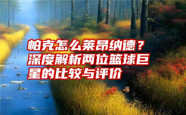 帕克怎么莱昂纳德？深度解析两位篮球巨星的比较与评价