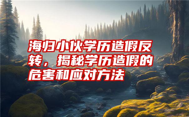 海归小伙学历造假反转,揭秘学历造假的危害和应对方法