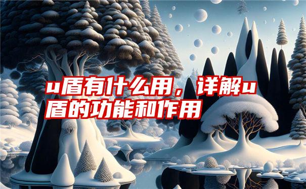 u盾有什么用,详解u盾的功能和作用