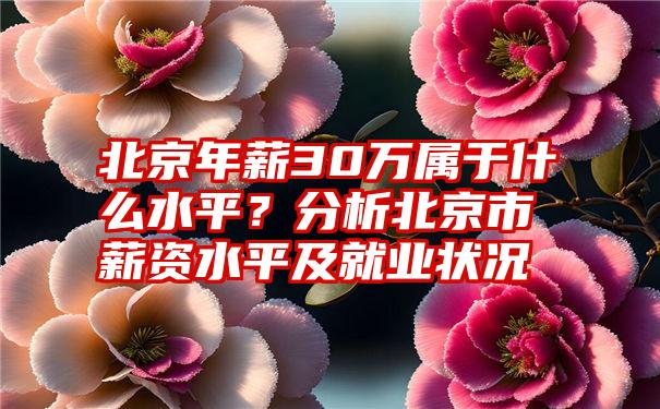 北京年薪30万属于什么水平？分析北京市薪资水平及就业状况