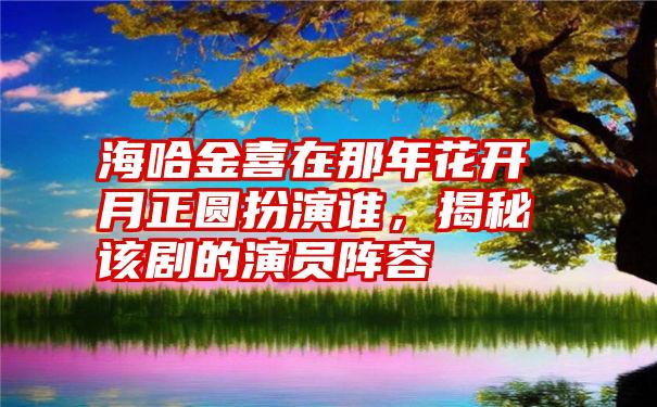 海哈金喜在那年花开月正圆扮演谁，揭秘该剧的演员阵容