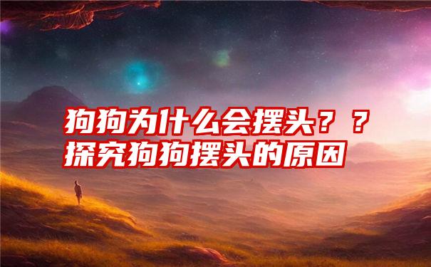 狗狗为什么会摆头？？探究狗狗摆头的原因