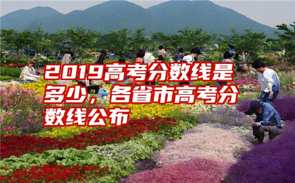 2019高考分数线是多少，各省市高考分数线公布