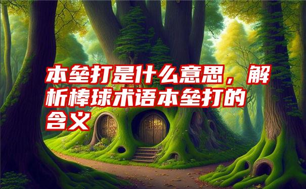 本垒打是什么意思，解析棒球术语本垒打的含义