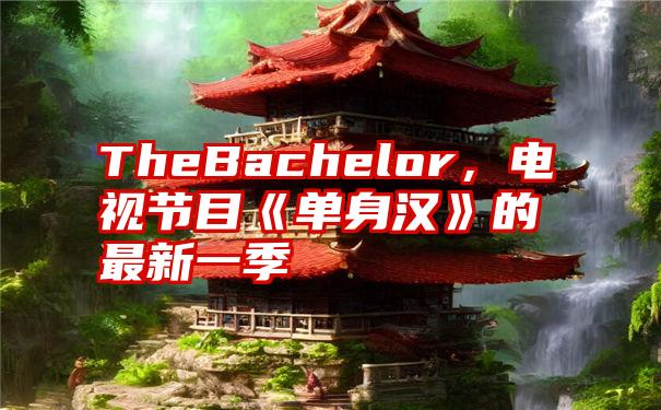 TheBachelor，电视节目《单身汉》的最新一季