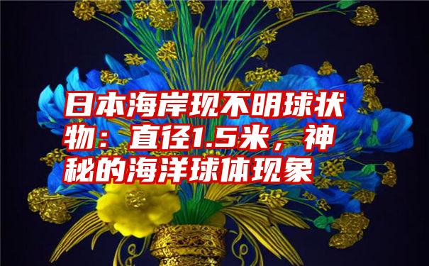 日本海岸现不明球状物：直径1.5米，神秘的海洋球体现象