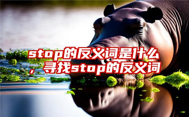 stop的反义词是什么，寻找stop的反义词