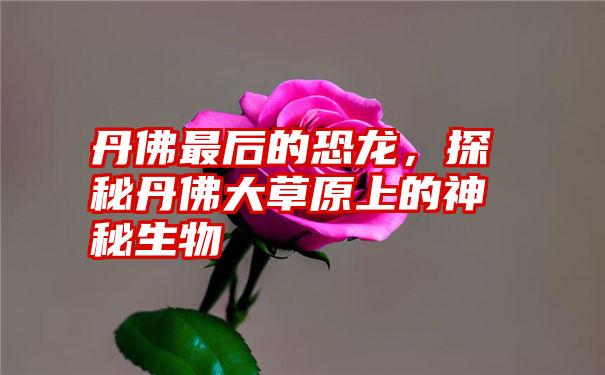 丹佛最后的恐龙，探秘丹佛大草原上的神秘生物