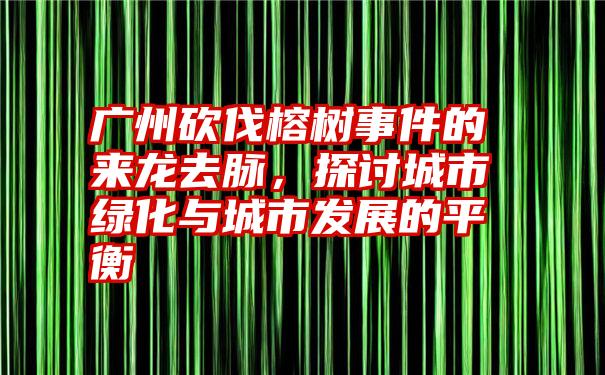 广州砍伐榕树事件的来龙去脉,探讨城市绿化与城市发展的平衡