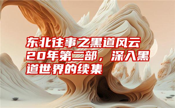 东北往事之黑道风云20年第二部，深入黑道世界的续集