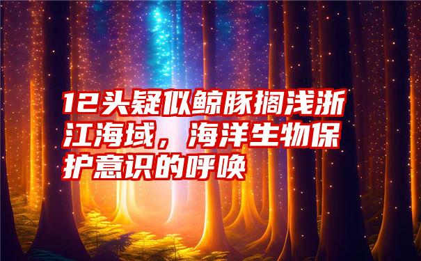 12头疑似鲸豚搁浅浙江海域,海洋生物保护意识的呼唤