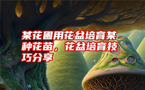 某花圃用花盆培育某种花苗,花盆培育技巧分享